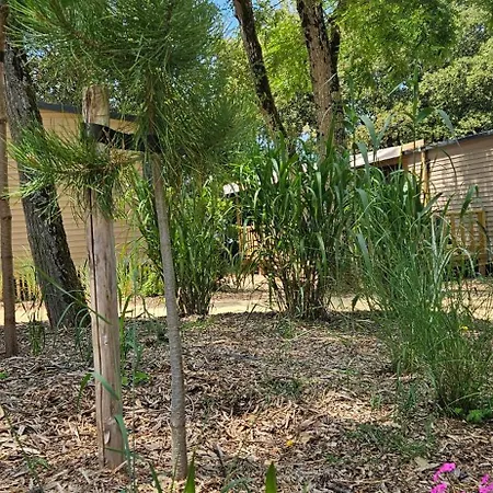 Le Bois Verdon 4* Сен-Жан-де-Мон