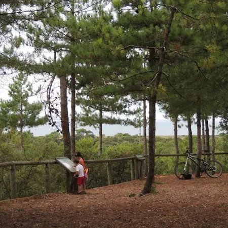 Le Bois Verdon Кемпинг