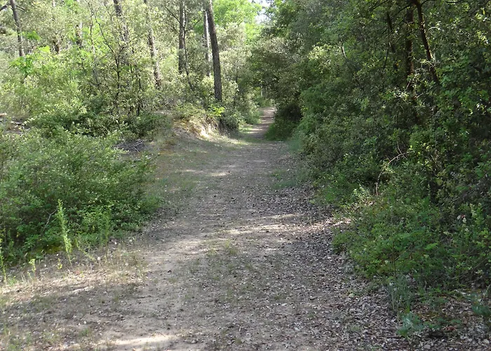 캠프장 Le Bois Verdon 생장드몽