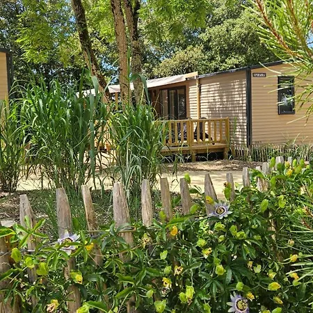 营地 Le Bois Verdon