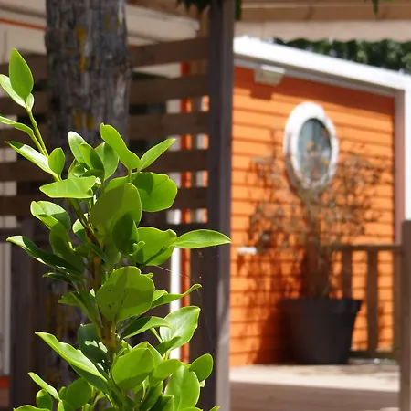 Le Bois Verdon 营地 4*