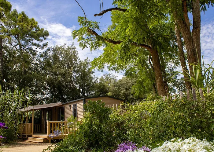 キャンプ場 Le Bois Verdon