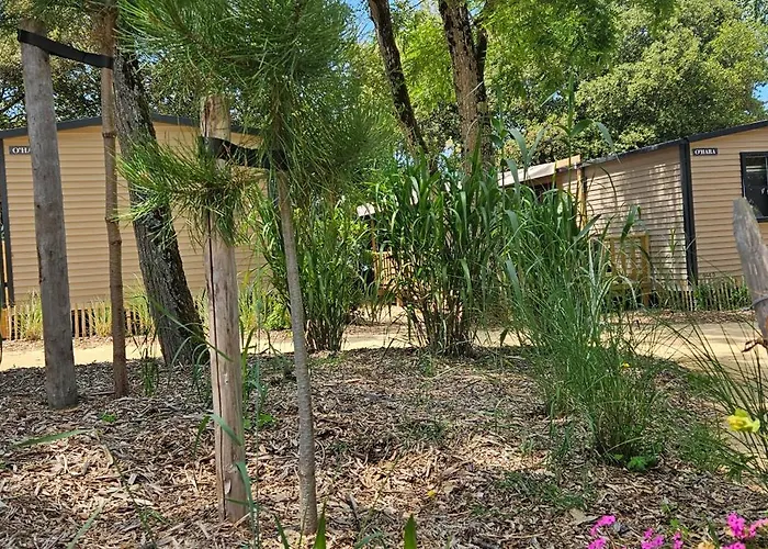 Le Bois Verdon 4* サン・ジャン·ド・モン