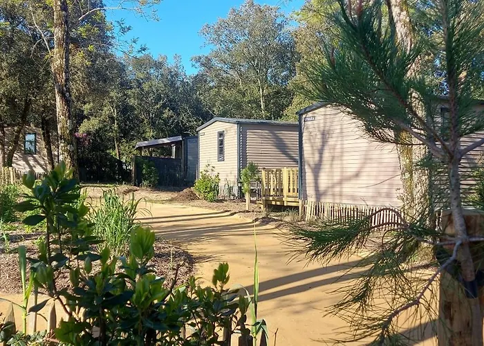 Le Bois Verdon キャンプ場