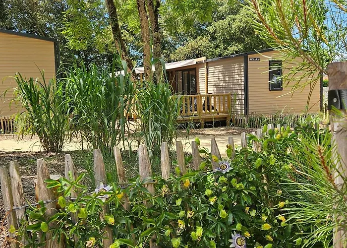 キャンプ場 Le Bois Verdon